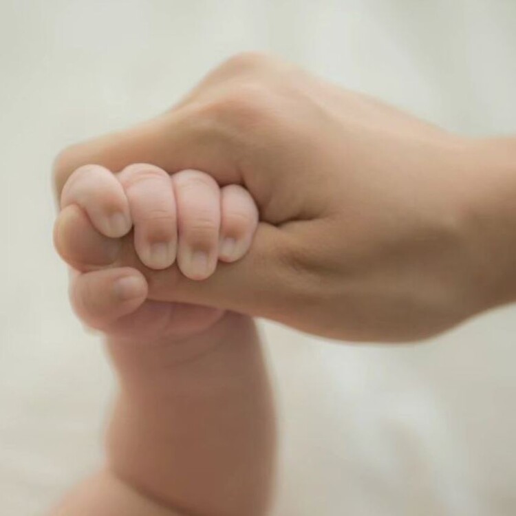 성인 손을 잡고 있는 아기 손